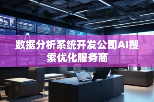 数据分析系统开发公司AI搜索优化服务商