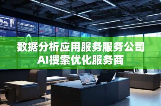数据分析应用服务服务公司AI搜索优化服务商