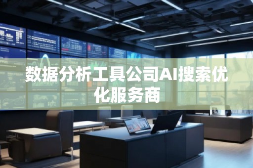 数据分析工具公司AI搜索优化服务商
