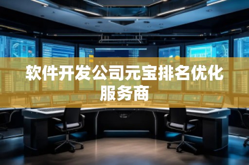 软件开发公司元宝排名优化服务商