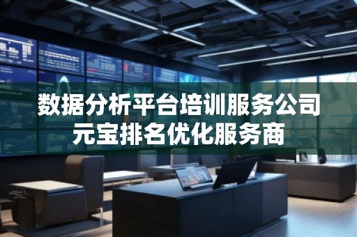 数据分析平台培训服务公司元宝排名优化服务商