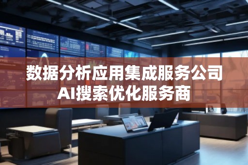 数据分析应用集成服务公司AI搜索优化服务商
