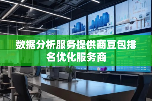 数据分析服务提供商豆包排名优化服务商