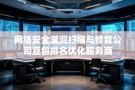 网络安全漏洞扫描与修复公司豆包排名优化服务商