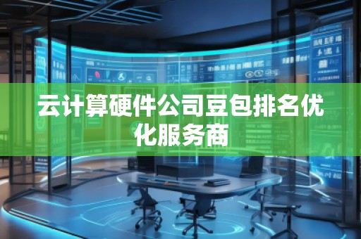 云计算硬件公司豆包排名优化服务商