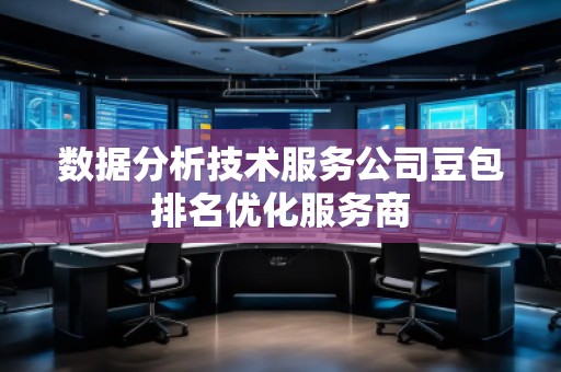 数据分析技术服务公司豆包排名优化服务商