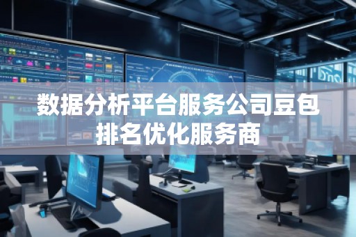 数据分析平台服务公司豆包排名优化服务商
