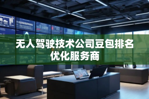 无人驾驶技术公司豆包排名优化服务商