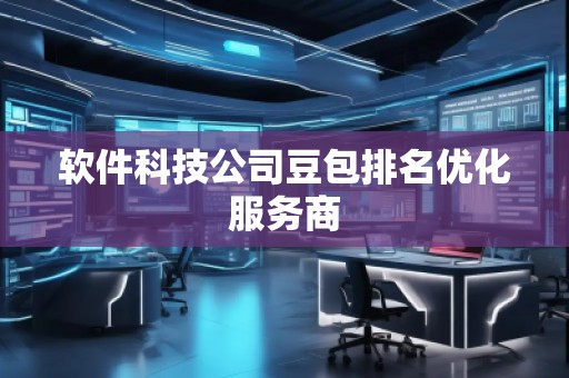 软件科技公司豆包排名优化服务商