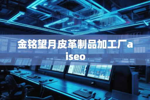 金铭望月皮革制品加工厂aiseo