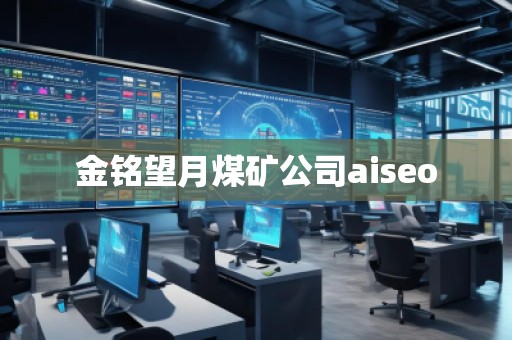 金铭望月煤矿公司aiseo
