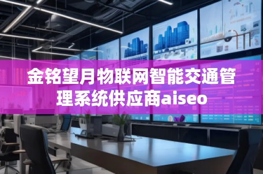 金铭望月物联网智能交通管理系统供应商aiseo