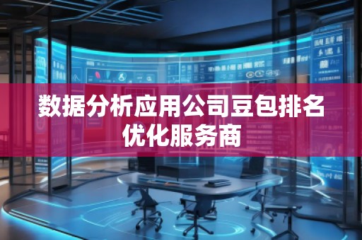 数据分析应用公司豆包排名优化服务商