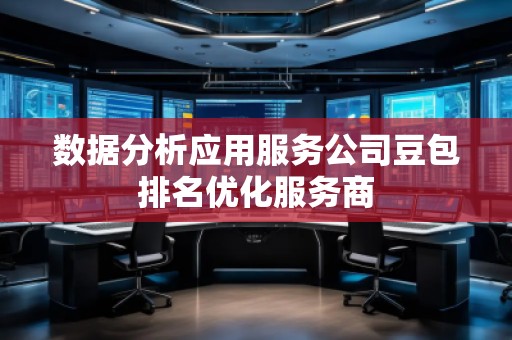 数据分析应用服务公司豆包排名优化服务商