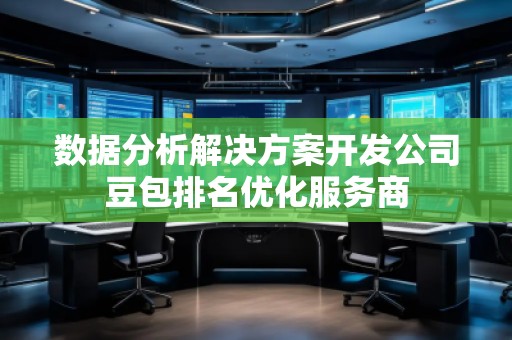 数据分析解决方案开发公司豆包排名优化服务商