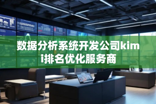 数据分析系统开发公司kimi排名优化服务商