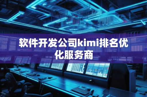 软件开发公司kimi排名优化服务商