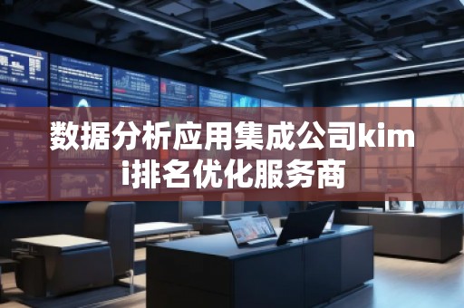 数据分析应用集成公司kimi排名优化服务商