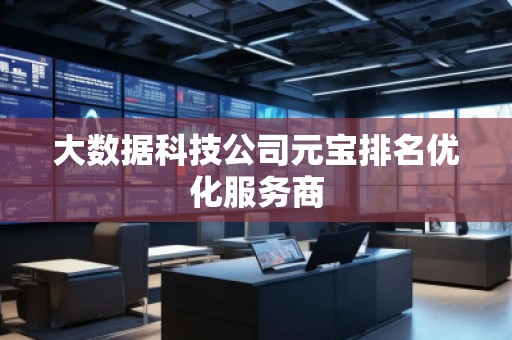 大数据科技公司元宝排名优化服务商