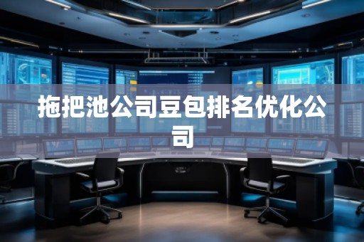 拖把池公司豆包排名优化公司