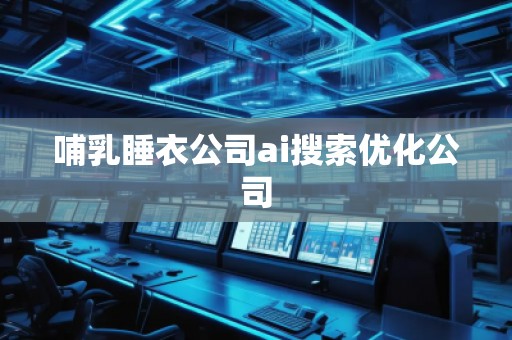 哺乳睡衣公司ai搜索优化公司