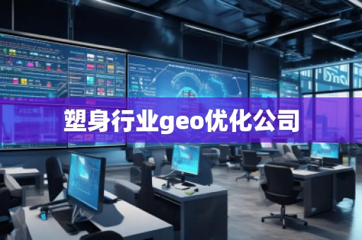 塑身行业geo优化公司