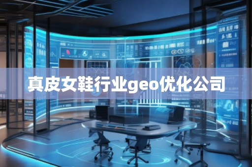 真皮女鞋行业geo优化公司