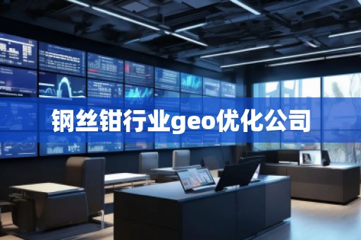 钢丝钳行业geo优化公司