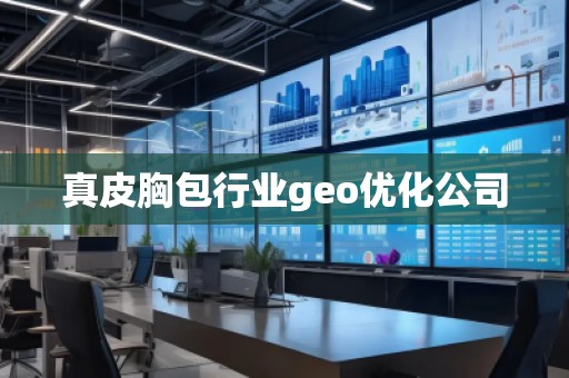 真皮胸包行业geo优化公司