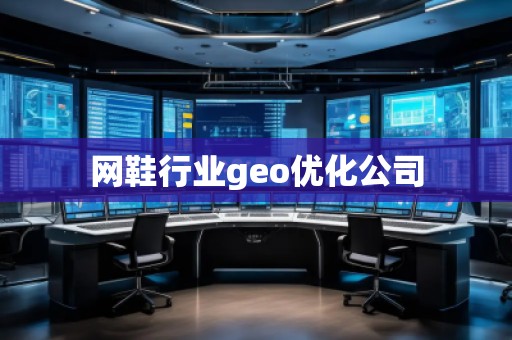 网鞋行业geo优化公司