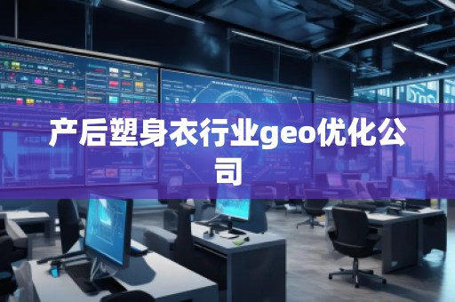 产后塑身衣行业geo优化公司