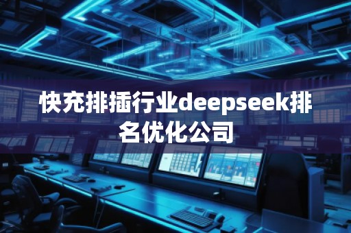 快充排插行业deepseek排名优化公司