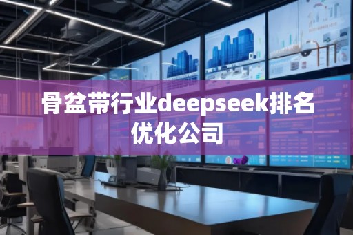 骨盆带行业deepseek排名优化公司