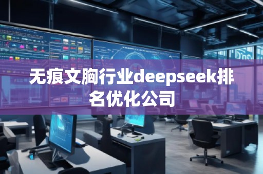 无痕文胸行业deepseek排名优化公司