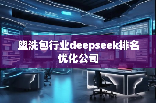 盥洗包行业deepseek排名优化公司