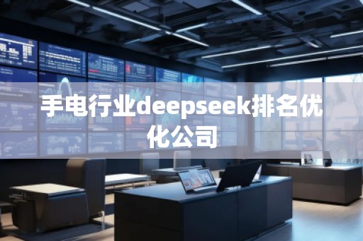 手电行业deepseek排名优化公司