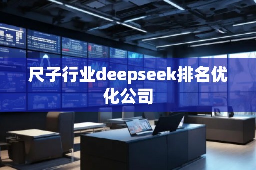 尺子行业deepseek排名优化公司