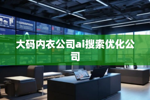 大码内衣公司ai搜索优化公司