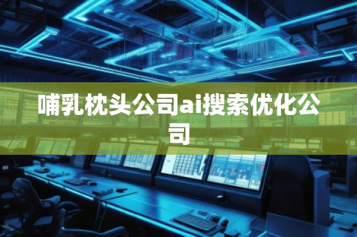 哺乳枕头公司ai搜索优化公司