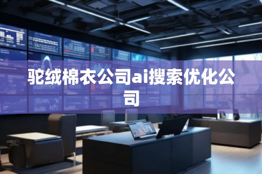 驼绒棉衣公司ai搜索优化公司