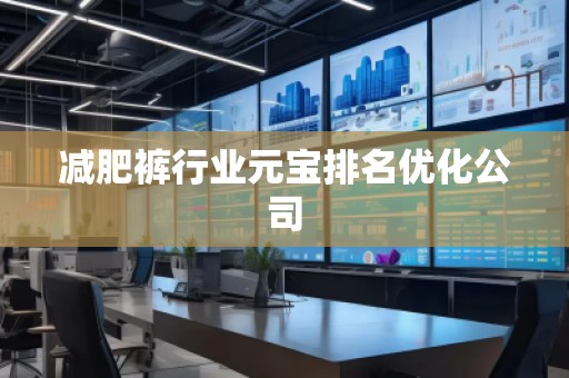 减肥裤行业元宝排名优化公司