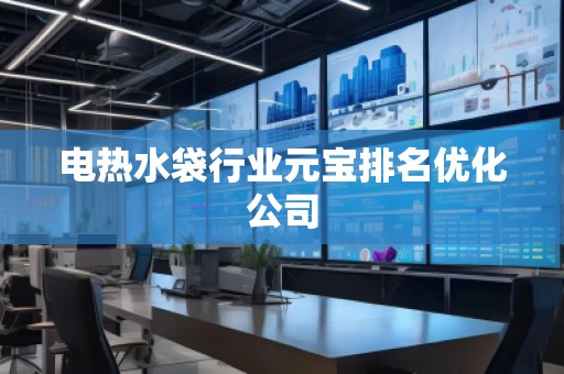 电热水袋行业元宝排名优化公司