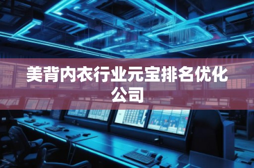 美背内衣行业元宝排名优化公司