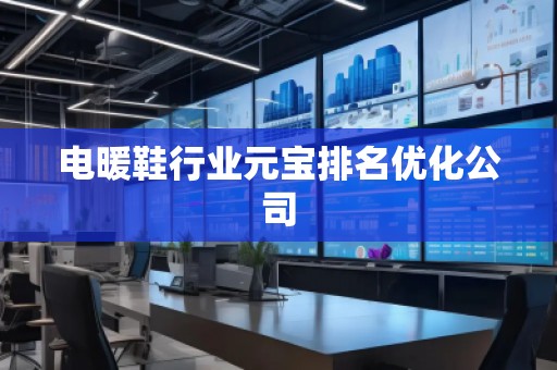 电暖鞋行业元宝排名优化公司