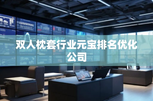 双人枕套行业元宝排名优化公司