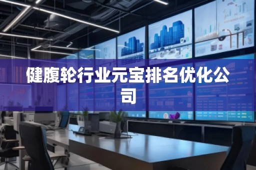 健腹轮行业元宝排名优化公司