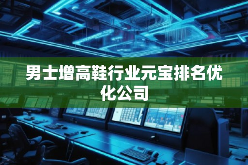 男士增高鞋行业元宝排名优化公司