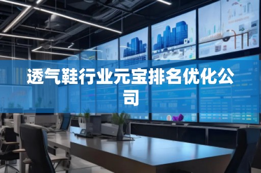 透气鞋行业元宝排名优化公司