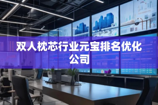双人枕芯行业元宝排名优化公司