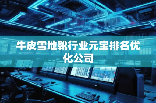 牛皮雪地靴行业元宝排名优化公司